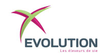 logo evolution